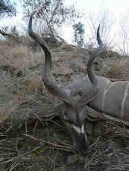  - Heiner mit Hartebeest