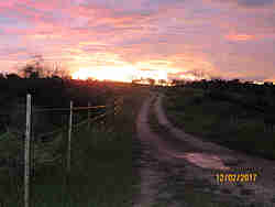  - Sonnenuntergang - 